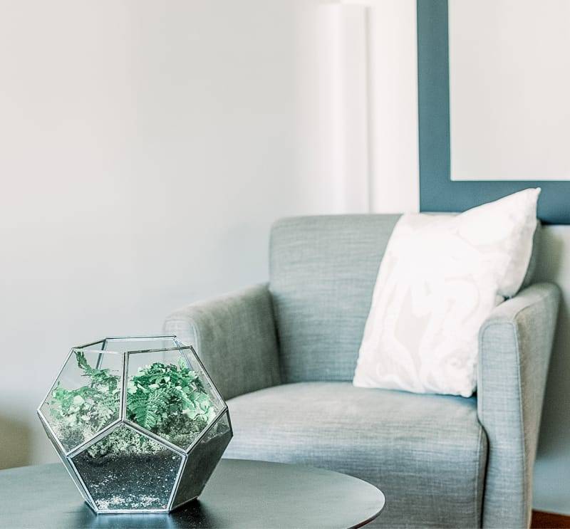 Sofá grisaceo con cojín blanco y una mesa con una planta